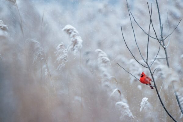 Photo Winter palette